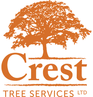 Crest Tree Services Ltd - Local Tree Surgeon in Bristol